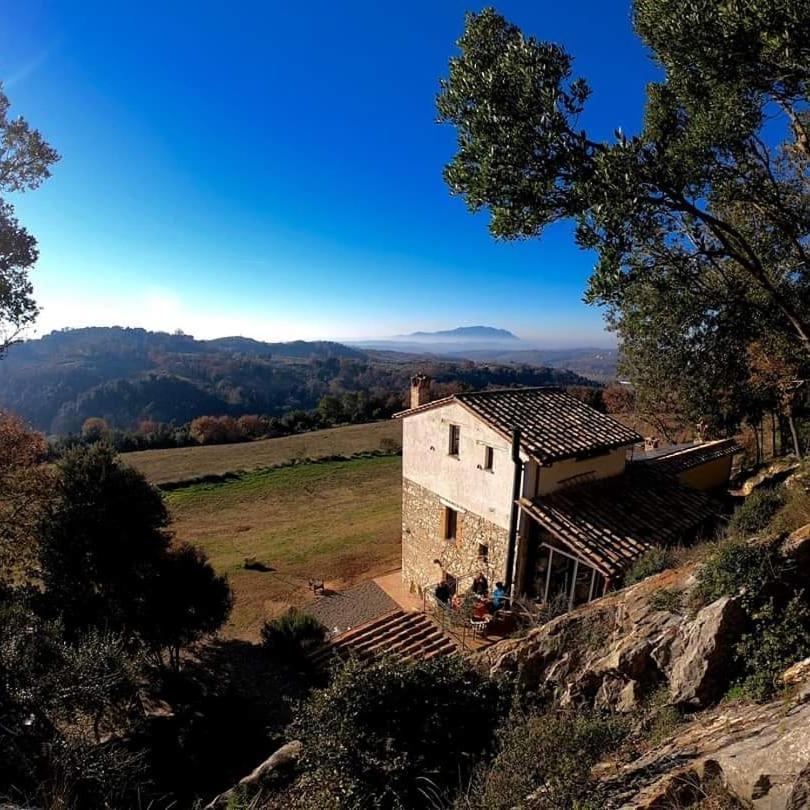 Апартаменти La Casa Del Tartufo Torri in Sabina Екстер'єр фото